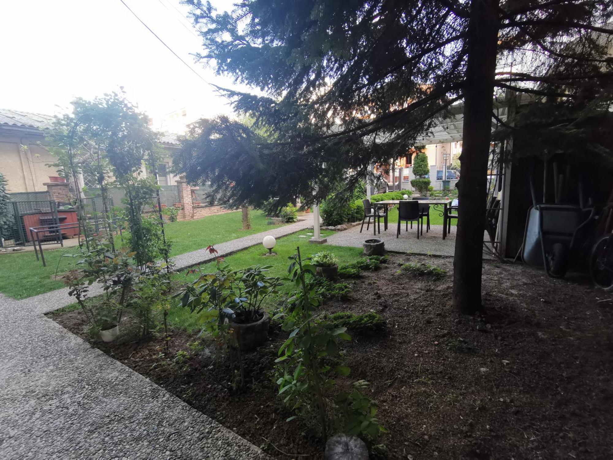 Vukajlo Petit Belgrad