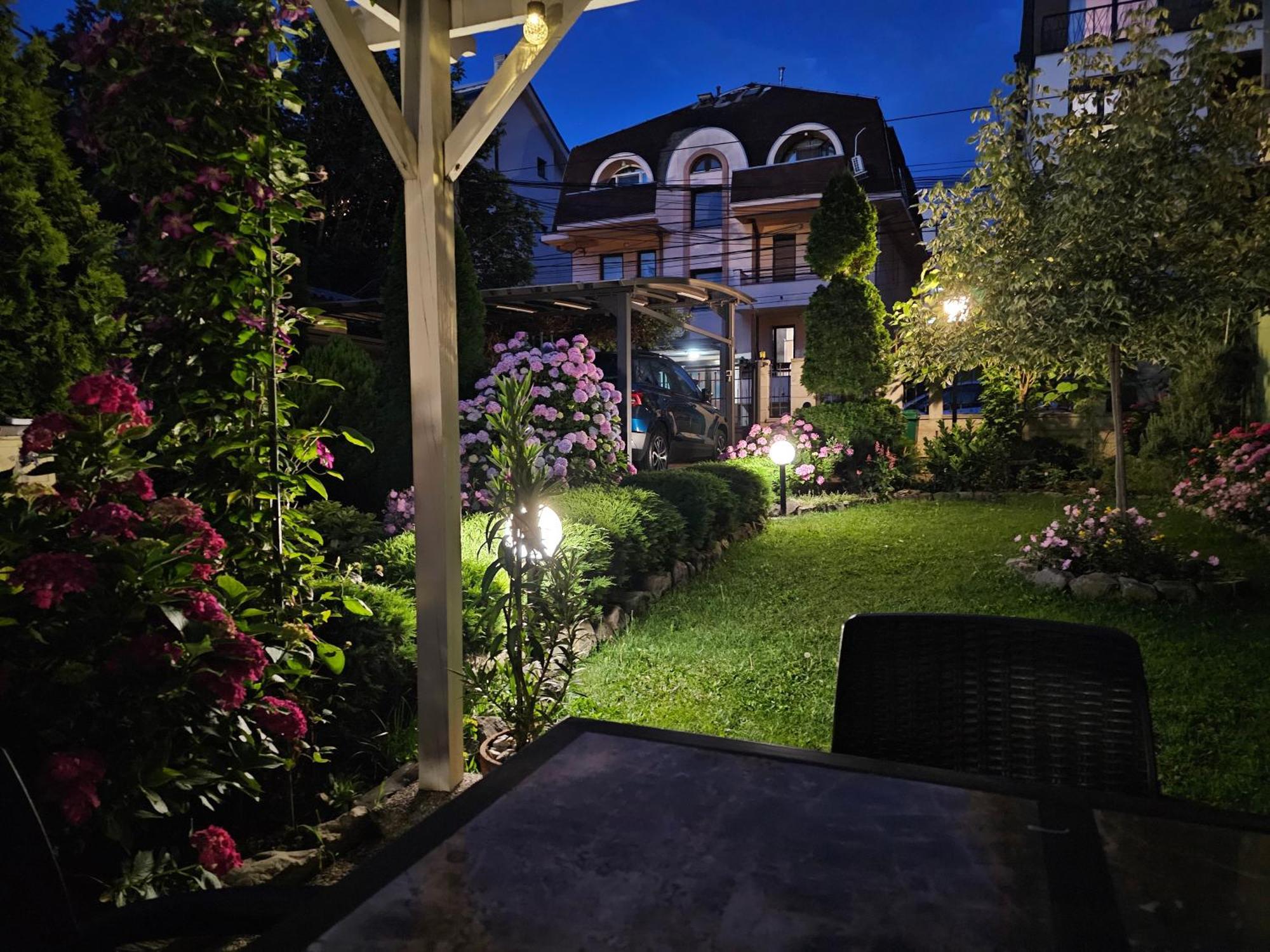 Vukajlo Petit Daire Belgrad